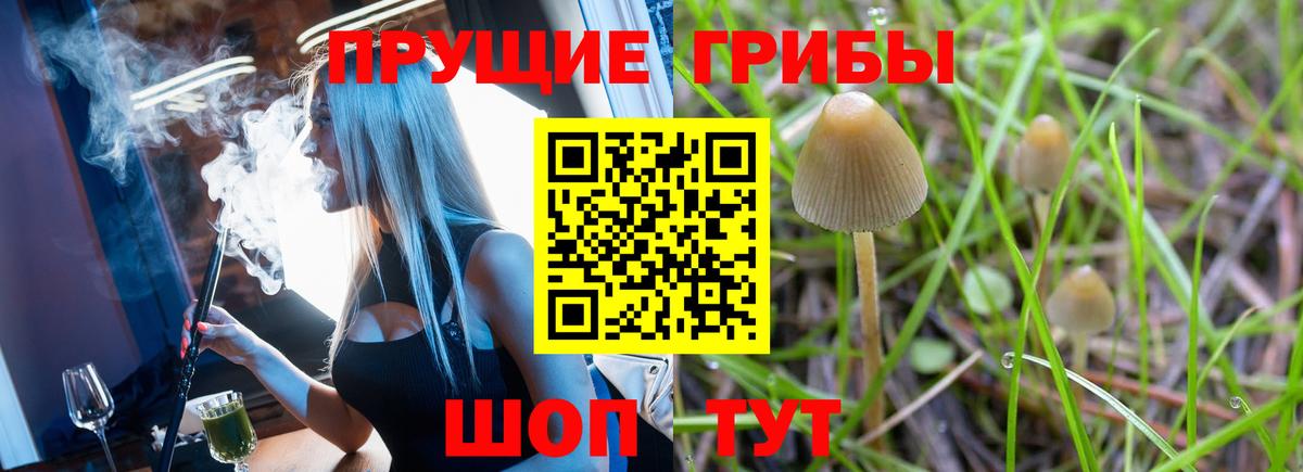 Псилоцибиновые грибы ЛСД Тула